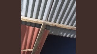 Download lagu Wahai pesona mp3 Download lagu Wahai pesona mp3