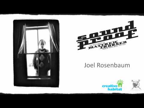 Sound Proof Virtual Exhibit: Joel Rosenbaum