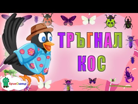 Тръгнал кос, гол и бос - Детска песен с текст - Бръмозавър