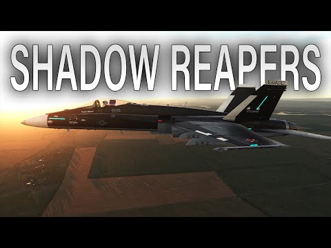 Beginners Pilot Tries Shadow Reapers Server for the First Time | DCS F/A-18 Hornet