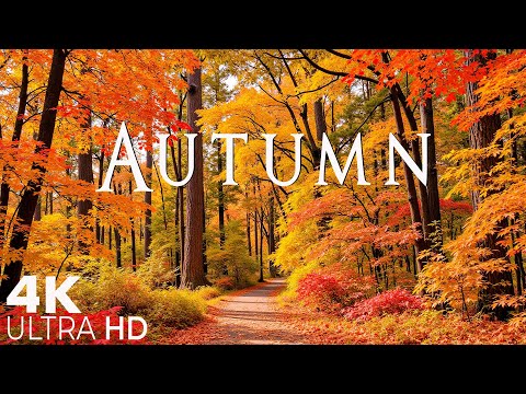 4K Beautiful Relaxing Music 🍁 Enchanting Autumn Nature Scenes with Forest Sounds & Peaceful Music