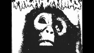 Archagathus - Sad Monkey