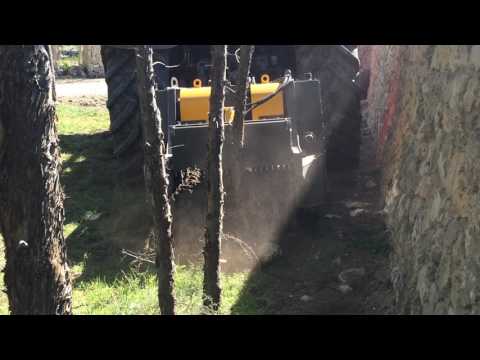 Agri World srl - fresa trincia ceppi FTCD-100.25 Stumps cutter FTCD-100.25