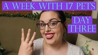 A Week In My Life With 17 Pets | Day Three - WEDNESDAY