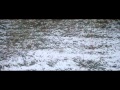 Hozier Fan Video "In the Woods Somewhere ...