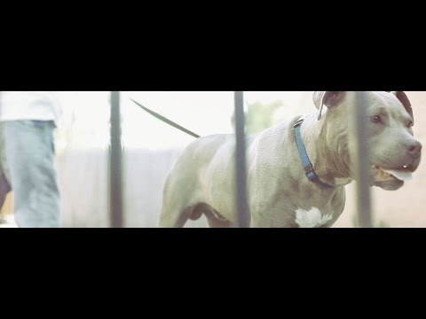 "Type" Prod. By Chopsquad | Hollywood Da G | Shot By @GaddyTcoe