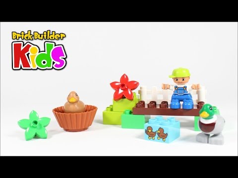 Vidéo LEGO Duplo 10581 : Les canards