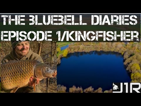 (CARP FISHING) BLUEBELL COMPLEX/KINGFISHER EPISODE 1