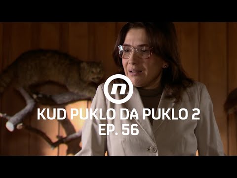Barbara ima plan - Kud puklo da puklo - epizoda 56 I sezona 2