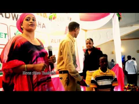 Cabdi Hani Iyo Yurub Geenyo,Hadaan Qalbi Qaysamayn Maxay Raga Qaar Hadaa Laba Iyo Sadexba U Qaban