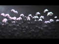 Amon Tobin   The Clean Up visualization)