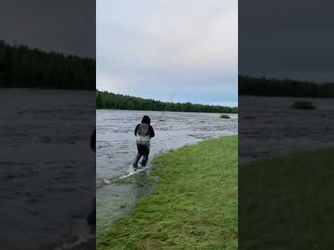 Petri fighting a baltic salmon in Kengis Bruk