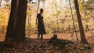 My Life In The Woods