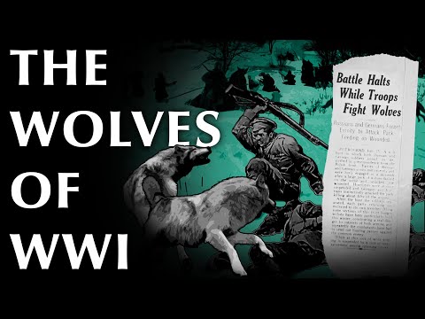 War During Winter is a Horrible Thing...