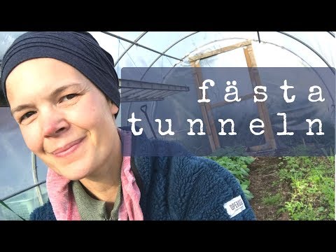 Fästa tunnelväxthus i marken