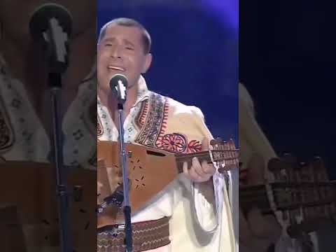 Nu mi-e necaz că iubesc - Constantin Gaciu și Ion Ghițulescu