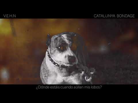 Love of Lesbian - Catalunya bondage feat. El Columpio Asesino (Lyric Video Oficial)