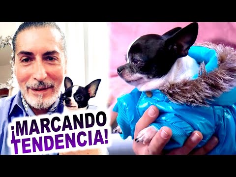 SIN MIEDO AL INVIERNO: Cesar Juricich vistió a su perrita Marlene y sorprendió a todos