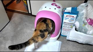 2026.4.19 フミちゃんをストーキングしてみたの巻！