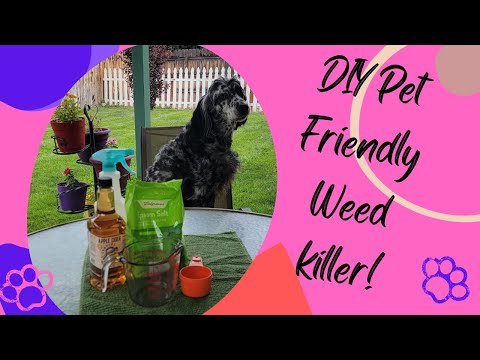 Non Toxic Pet Friendly Weed Killer
