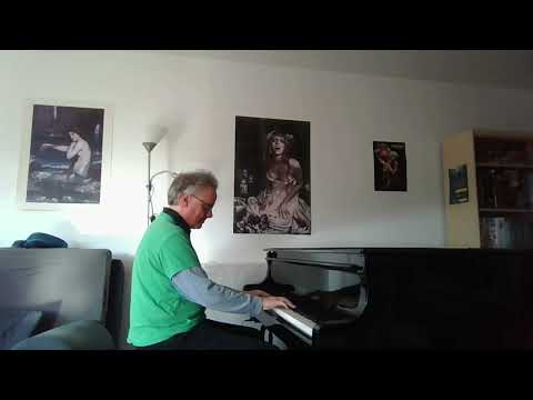 Patrick Hollstein plays a tango: "Vamos hijos de la patria"