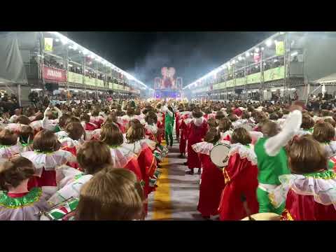 ESTADO MAIOR DA RESTINGA🦢- BATERIA OS TI GUERREIROS ⚪🟢🔴 #carnavalpoa #carnaval2024