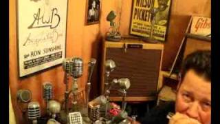 Video thumbnail for ElectroVoice RE10 Dynamic Cardioid Vocal Harp Mic RE-10 by GoldenBug