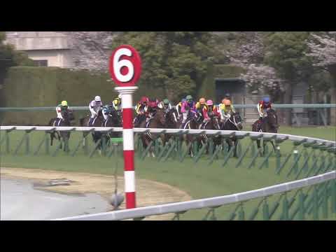 2019 Oka Sho (Japanese 1000 Guineas) (G1)