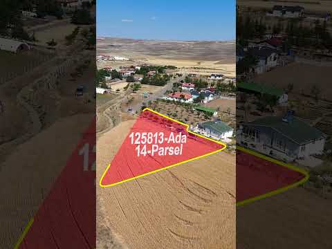 YouTube Shorts Önizleme