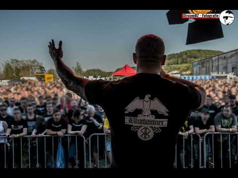 Blutbanner - Löwen und Adler