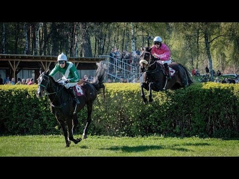 ŽIVĚ 🔴 | dostihy Lysá nad Labem – 6. 7. 2024