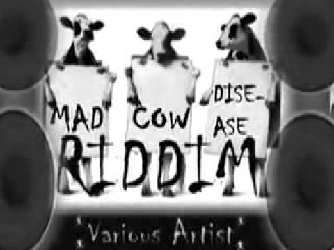 Mad Cow Disease Riddim