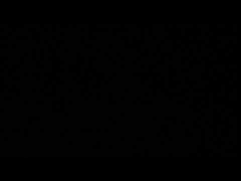 675TR36 - 3'' - 75mm - Silver Peony w/ Crackling pistil - tristar - www.tristarsd.be