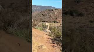 Download lagu Lake Hodges South Shore trail 4 of 10 hummingbird mp3