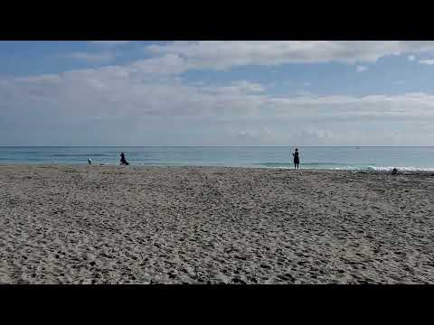 Beach Yoga class with Nicoleta Metta - Loggerhead Fitness, Juno Beach