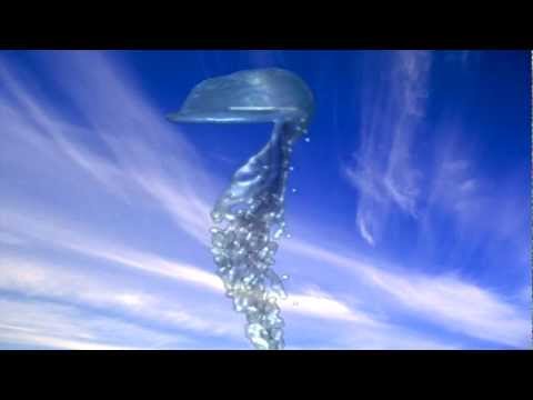 Brain Spinal Water Flow