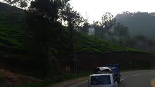 preview picture of video 'Trip to Tea garden Thekkady Kerala.'