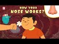 How Your Nose Works The Dr Binocs Show Best Learning Videos For Kids Peekaboo Kidz