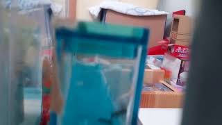ウーパー&？？ちゃん動画新しいペット来たーーーーーーーー❗