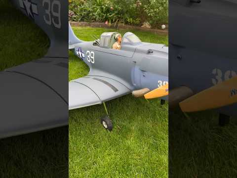 CY Models Dauntless with Saito FG60 #radiocontrol #aerobatics #aircraft