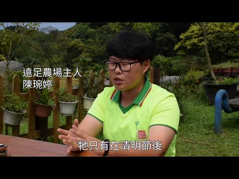 與自然共生 「蝠」氣滿滿的遠足之旅