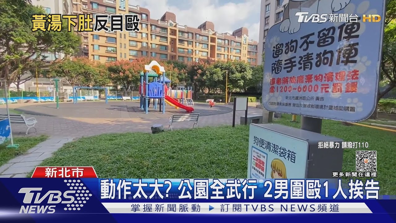 動作太大?公園全武行2男圍毆1人挨告