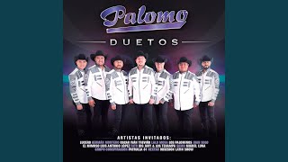 Flor De Capomo Music Video