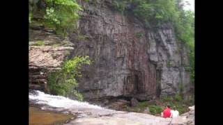 marty casey and the lovehammers- trees