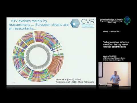 M. Palmarini - Pathogenesis of arbovirus infections: the key role of follicular dendritic cells