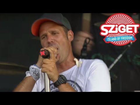Ocho Macho Live @ Sziget 2015