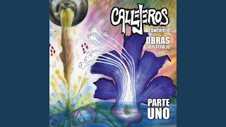 Ahogados de Razón (Vivo - Mezclado y Masterizado 2017)