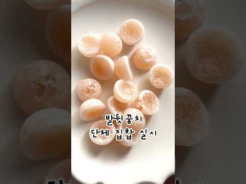일본에서 판매랭킹2위!! 소르베 구미!!