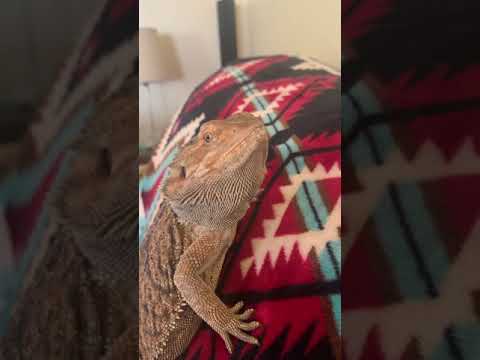 Up close and personal 😳