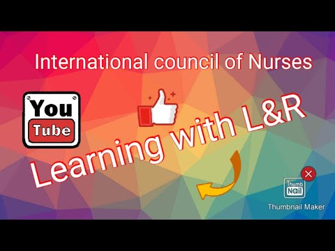INTERNATIONAL COUNCIL OF NURSES' (NURSING EDUCATION)